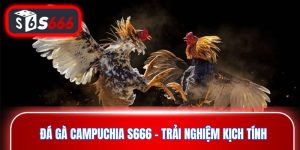 Đá gà Campuchia